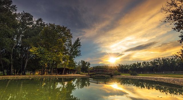 המומחה הרפואי “ניצח” את הביטוח הלאומי, פקח רשות הטבע הרוויח מזה …